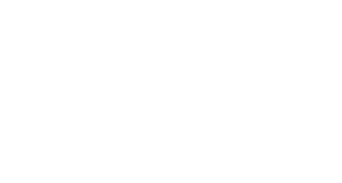 L1 Motorsports
